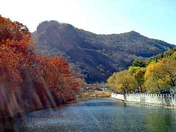 天天彩好彩天天免费，湘林1号